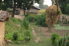 Onderweg in Nepal - vanaf Mahendranagar (9-10-2006)