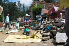 Manali, Himachal Pradesh (31 mei 2011)