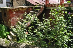 Manali, Himachal Pradesh (31 mei 2011)