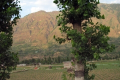 Onderweg naar Manali (29 mei 2006)