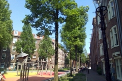 Hasebroekstraat, Oud-West, Amsterdam, 9 Juni 2021