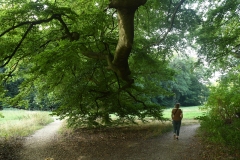 Park Zypendaal - Arnhem (15-8-2022)