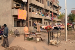 Chandigarh, - Residents of Maloya Colony (housing project) (2013)