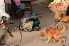 Chandigarh - Residents of Maloya Village (2013)