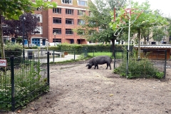 Stadsboerderij Zimmerhoeve, Oud-West, Amsterdam