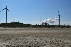 Strand, duinen - Velsen-Noord (3-6-2022)