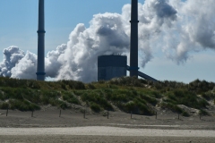 Strand, duinen - Velsen-Noord (3-6-2022)