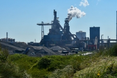 Strand, duinen - Velsen-Noord (3-6-2022)