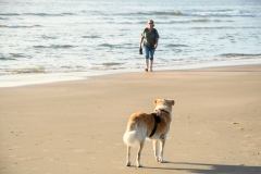 Strand Wijk aan Zee (24-7-20220)