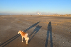 Strand - Bloemendaal aan Zee (12 december 2022)