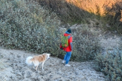 Duinen Bloemendaal aan Zee (12 december 2022)