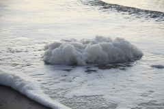 Strand en zee - Bloemendaal aan Zee (12 december 2022)