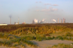 Strandwandeling Bloemendaal - IJmuiden(28 november 2011)