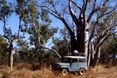 Australië (1999) - The Outback (1)