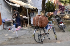 The Chandigarh Stroll (28-12-2014)