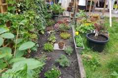 Tuin (14-6-2020)