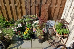 Tuin (14 april 2019)