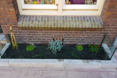 Tuin (14 april 2019)