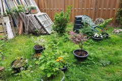 Tuin (30 april 2019)