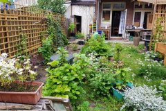 Tuin (10 mei 2020)