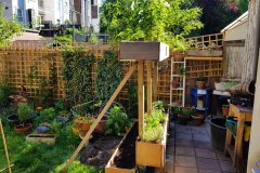 Tuin (20 juni 2020)