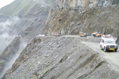 Van Ladakh naar Srinagar: na de Zojila (pas) (9 juni 2010)