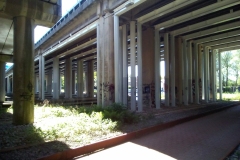 Viaduct A4, Ringvaartdijk (1 juni 2021) (2)