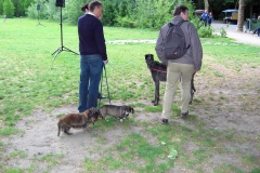 Vondelpark - Dag van het park (29 mei 2011)