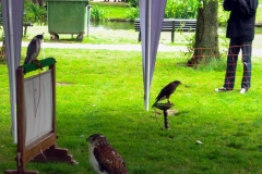 Vondelpark - Dag van het park (29 mei 2011)