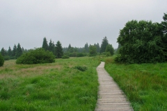 Wandeling in Noord-België (2005)