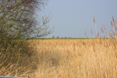 Wandelingen in maart 2005