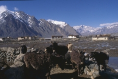 Zanskar (1999) - sTongde (2)