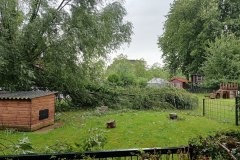 Zimmerhoeve - Zimmerterrein - Oud-West, Amsterdam (5 juli 2023)