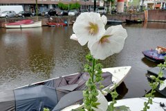 Bilderdijkgracht/-kade - Oud-West, Amsterdam (5 juli 2023)