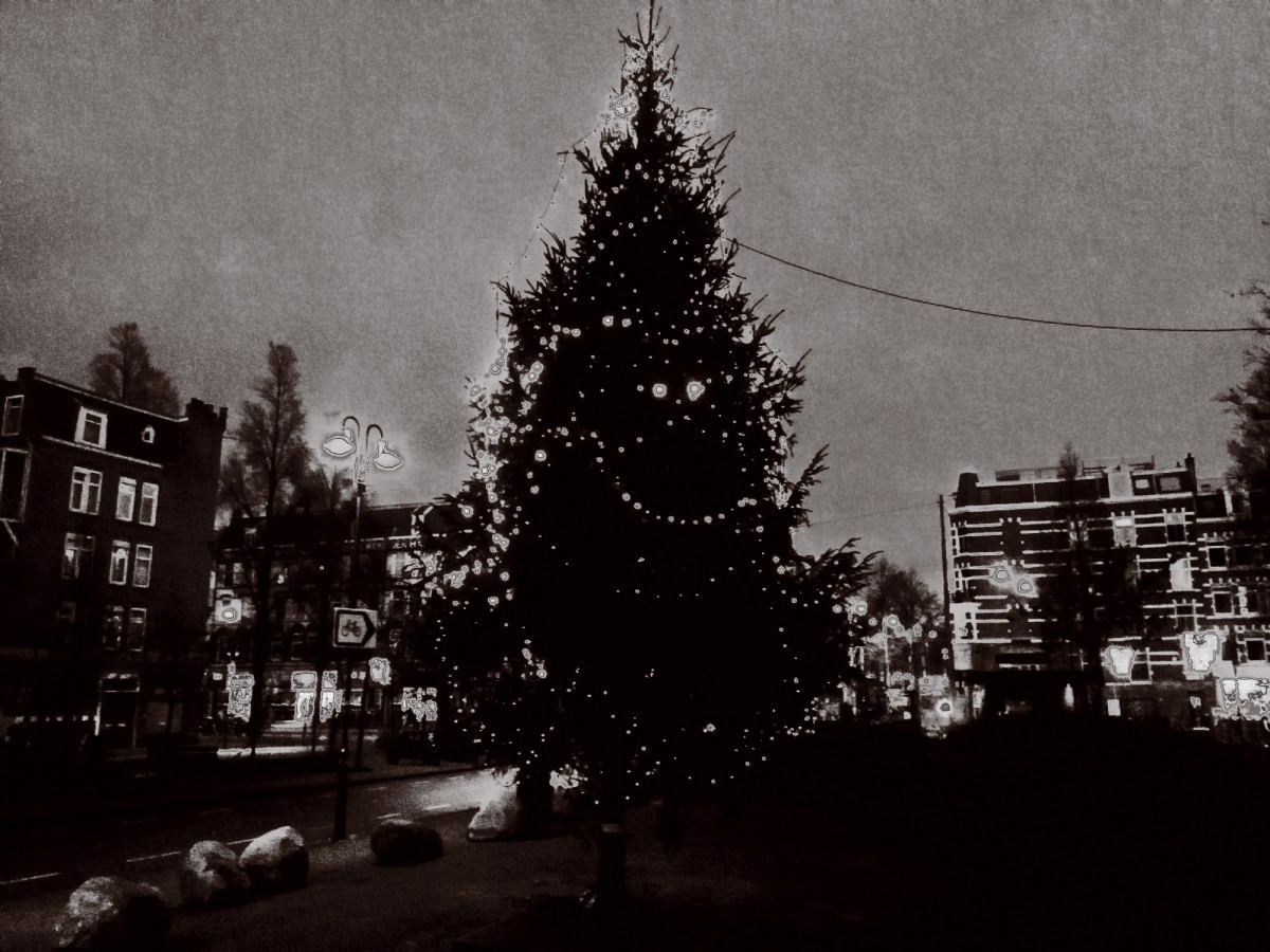 Kerstboom (Kwakersplein) (17.12.18)