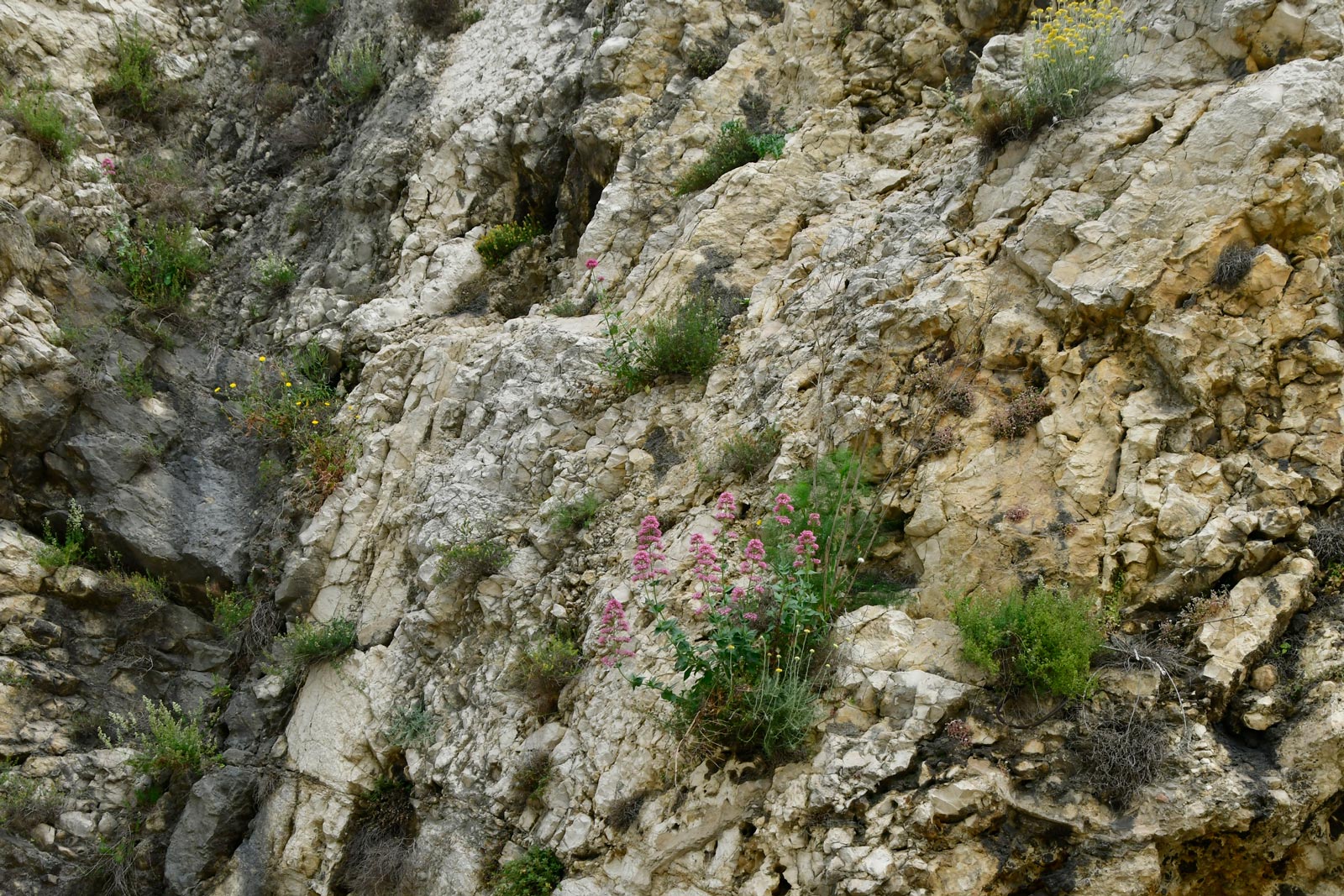 Boulevard de la Ligne - onderaan Jardin des Doms/Rocher des Doms, Avignon (3 mei 2026)