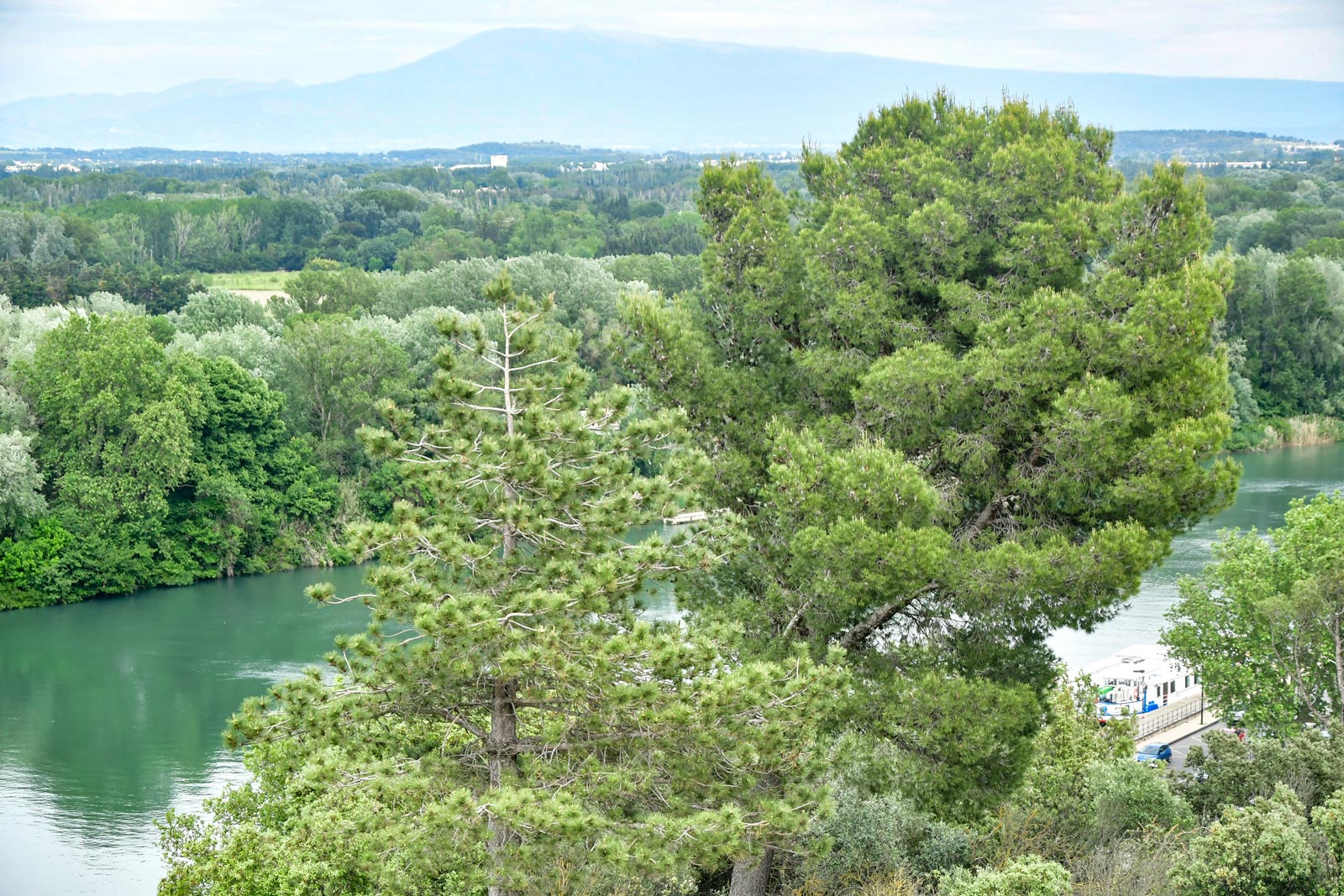 Mont Ventoux - gezien vanaf de Jardin des Doms/Rocher des Doms, Avignon (3 mei 2026)