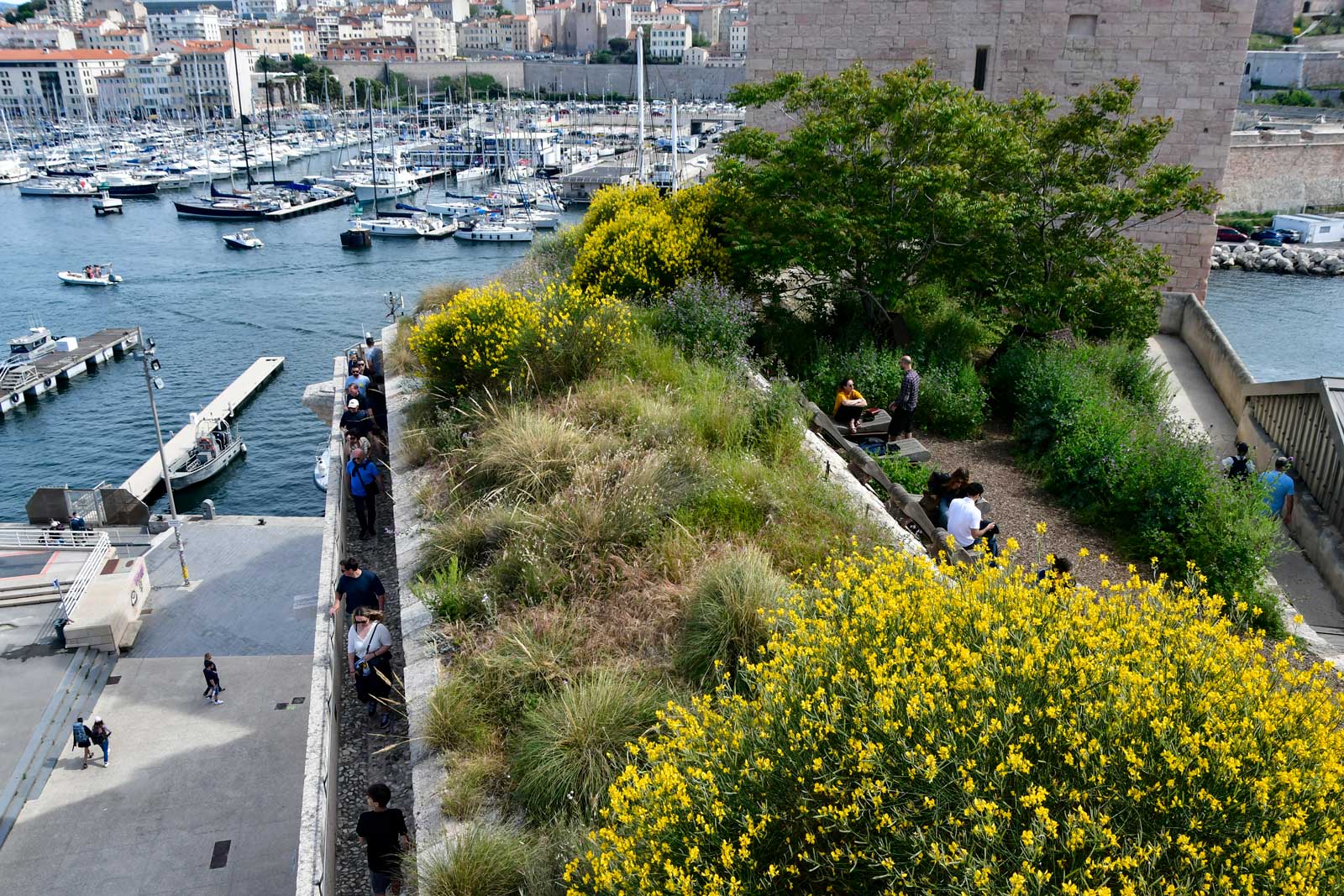 Fort Saint-Jean tuin (8-5-2026)