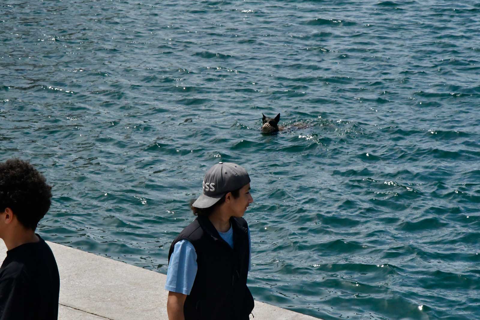 Promenade bij het Mucem (9-5-2026)