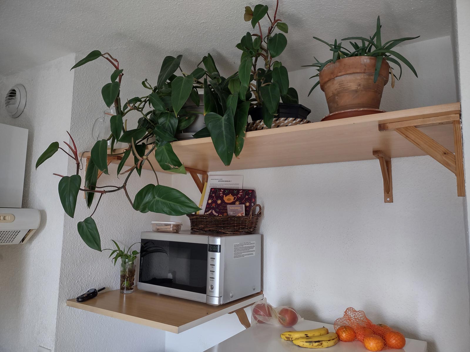 Poging tot junglevorming in de Av. Roberto Rossellini, Villeurbanne, Lyon (29-4-2026)
