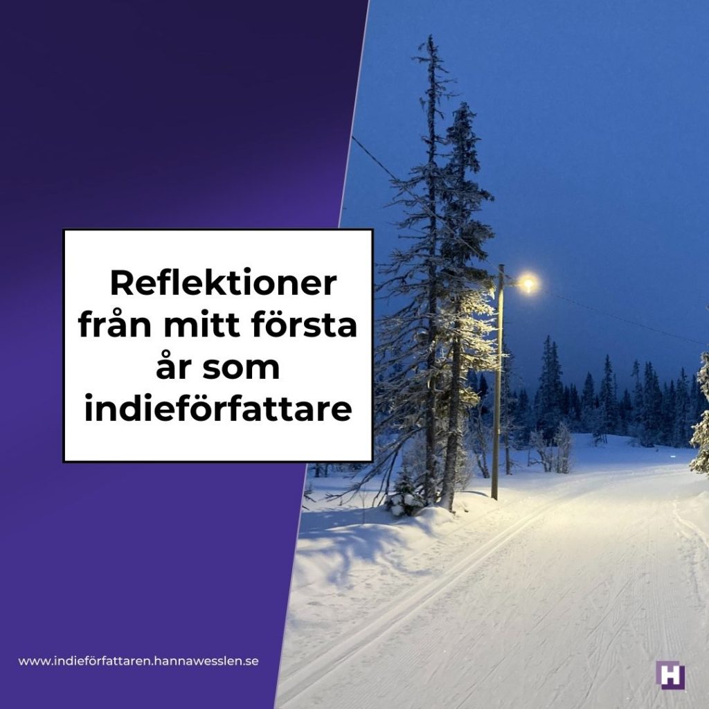 Reflektioner från mitt första år som indieförfattare