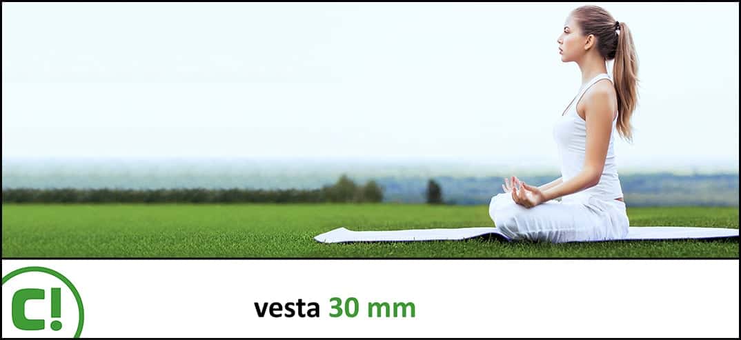 09 Vesta 30mm Titel 1074x493px 150dpi