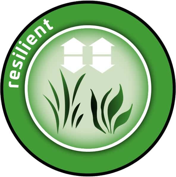 Resilient