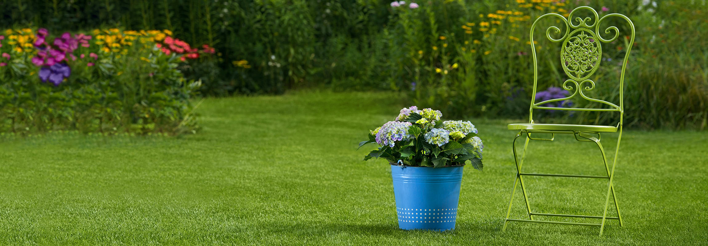 Garten,Stuhl,Mit,Hortensie,Im,A,Garten