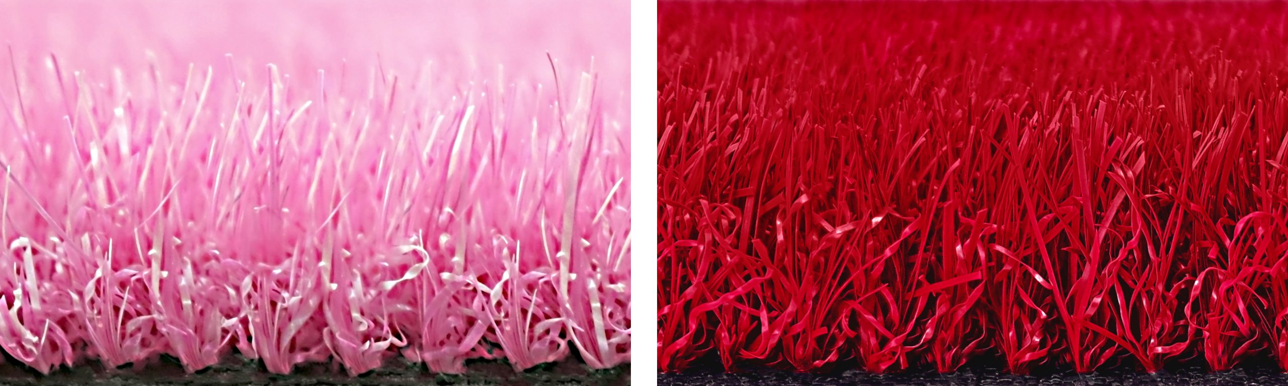 03_WoC_P Pink_T Red_side