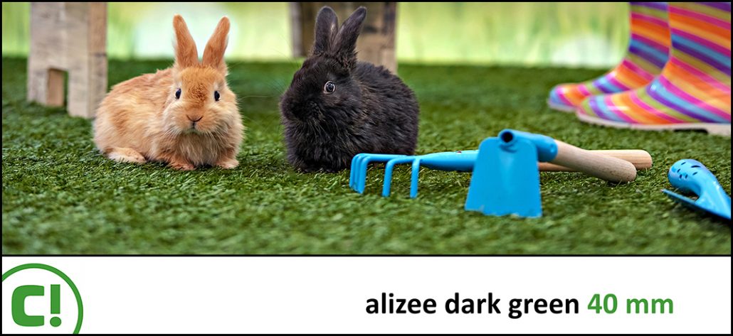 Display_Alizee dark green_40mm