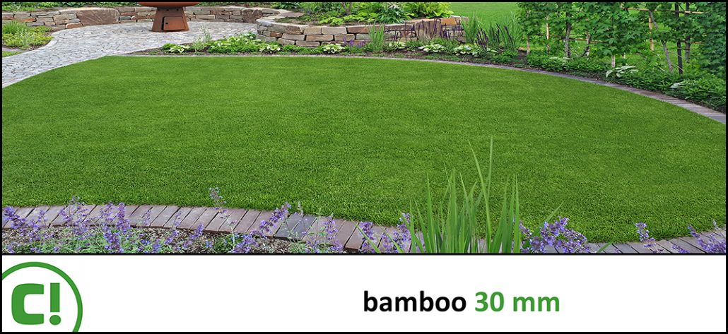 Display_Bamboo 30mm