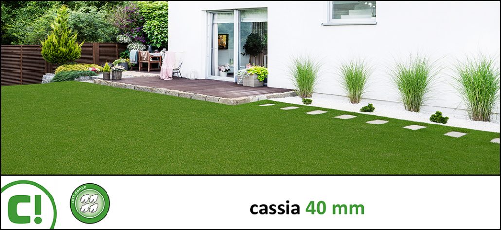 Display_Cassia 40mm