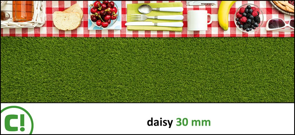 Display_Daisy 30mm