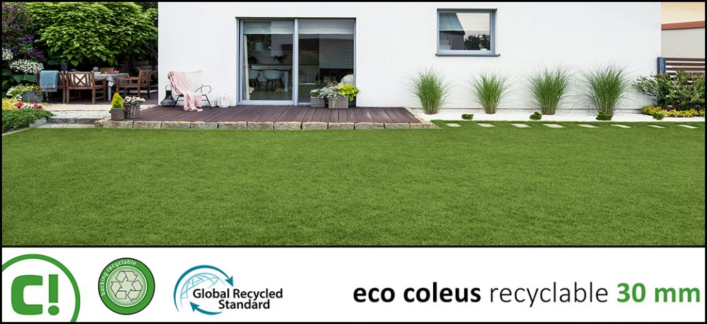 Display_Eco Coleus_30mm
